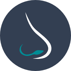 nose icon